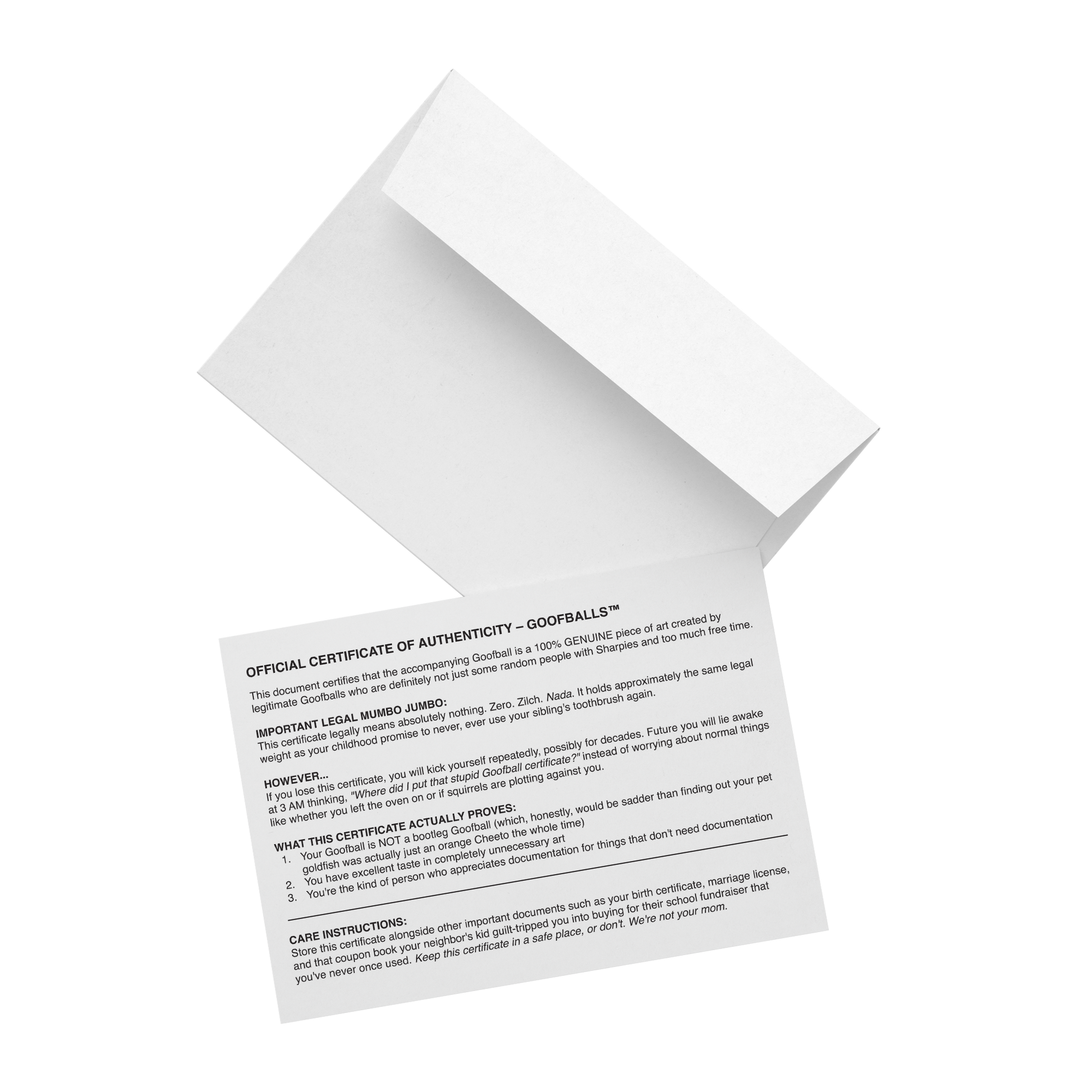 Goofball_Cert_H_Mockup_3_Mockup.png